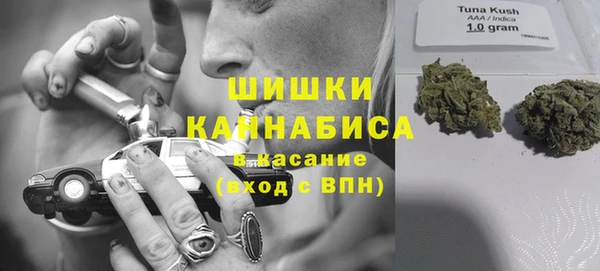 сатива Гусев