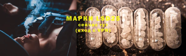 бошки Горнозаводск
