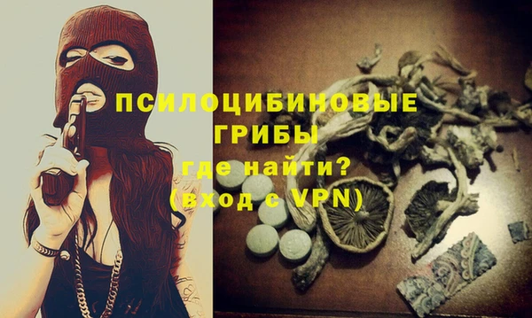 бошки Горнозаводск